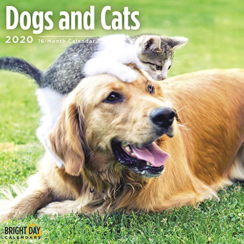 Product Cover 2020 Dogs and Cats Wall Calendar by Bright Day, 16 Month 12 x 12 Inch, Cute Puppy Kitten Animals Canine Feline
