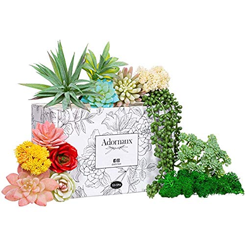 Product Cover Adornaux Artificial Succulent Plants Pack - 13 Pieces - Ultra Realistic Faux Succulents Variety Pack - Mini, Medium, and Large - Echeveria, Rose, String of Pearls - Ideal for Indoor and Outdoor Décor