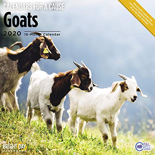 Product Cover 2020 Goats Wall Calendar by Bright Day, 16 Month 12 x 12 Inch, Animals for a Cause