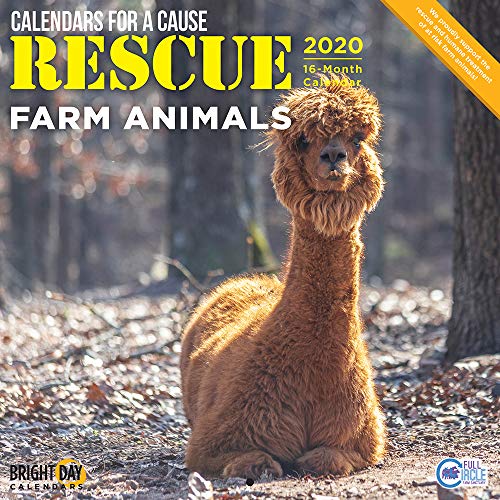 Product Cover 2020 Rescue Farm Animals Wall Calendar by Bright Day, 16 Month 12 x 12 Inch, Cute Pig Llama Sheep Goat Chicken for a Cause
