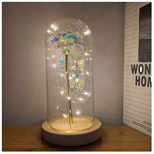 Product Cover Vivila Romantic Illuminate Colorful Galaxy Rose Flower in Glass Dome with Wooden Base Home Decor Best Gifts for Her