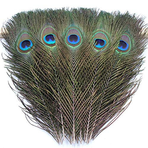 Product Cover TinaWood 10PCS Real Natural Peacock Eye Feathers 9.8-11.8 inch for DIY Craft, Wedding Holiday Decoration