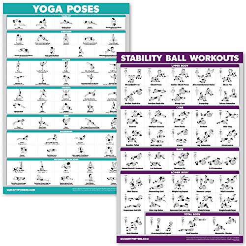 Product Cover QuickFit Yoga Poses and Exercise Ball Workout Posters - Laminated 2 Chart Set - Yoga Positions and Stability Ball Routine - 18