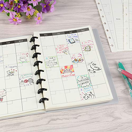 Product Cover Eagle Discbound Refill Paper, Inner Core, Planner Refills, Paper for Junior Size Discbound Notebooks, Arc Notebooks, 8-Hole Punched, 30 Sheets, 8.5