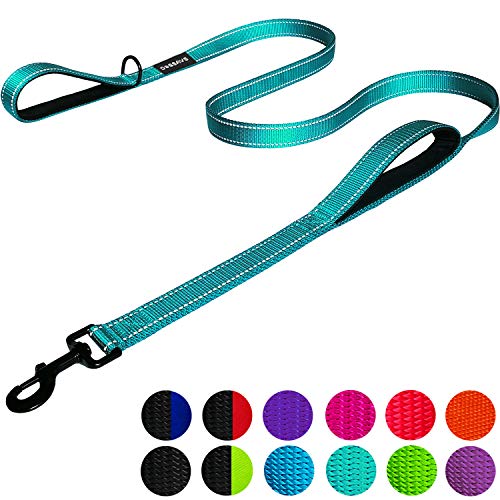 Product Cover Dog Leash 6ft Long - Traffic Padded Two Handle - Heavy Duty - Double Handles Lead for Training Control - 2 Handle Leashes for Large Dogs or Medium Dogs - Reflective Pet Leash Dual Handle (Teal)