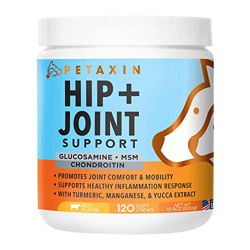 Product Cover Petaxin Glucosamine for Dogs - Advanced Hip and Joint Supplement - Support for Dog Joint Pain Relief and Dog Mobility - With Chondroitin, MSM, Turmeric, & Yucca - All Ages & Sizes -120 Chews