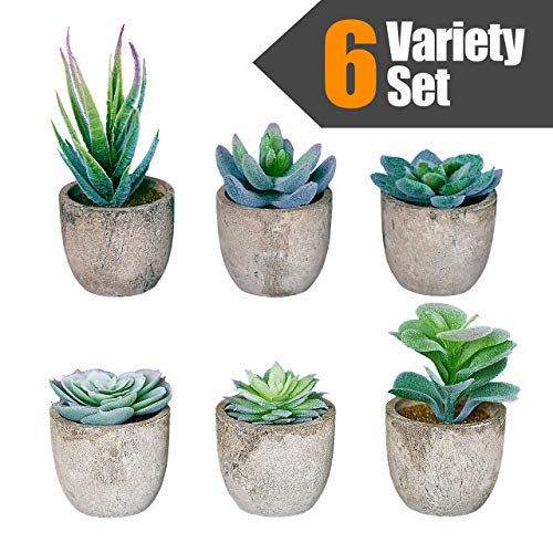 Product Cover Artificial Succulent Plants with Pots - Realistic Greenery Mini Potted Faux Plant Arrangements Home Office Decor, Dorm Room, Kitchen (Green (White Snow Flocking), Grey (Paper Composite) Pot)