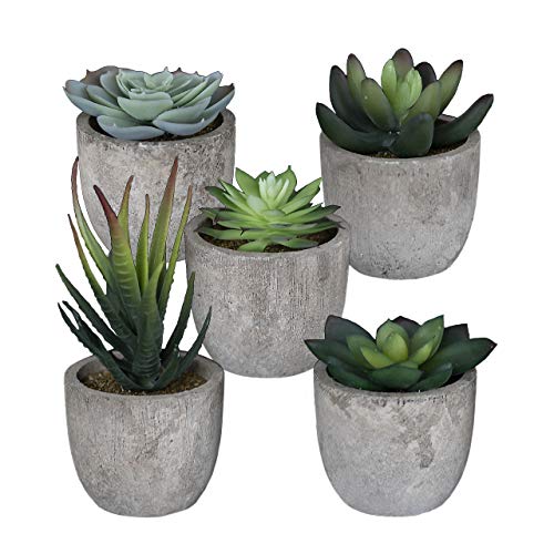 Product Cover Sophia's Garden Set of 5 Artificial Succulent Plants with Pots - Realistic Greenery Mini Potted Faux Plant Arrangements | for Home Office Decor, Dorm Room, Bathroom, Kitchen Table Centerpieces