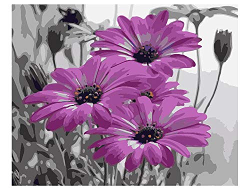 Product Cover SUBERY DIY Oil Painting Paint by Numbers Kits for Adults Kids Beginner - Purple Daisy 16x20 inches (Frameless)