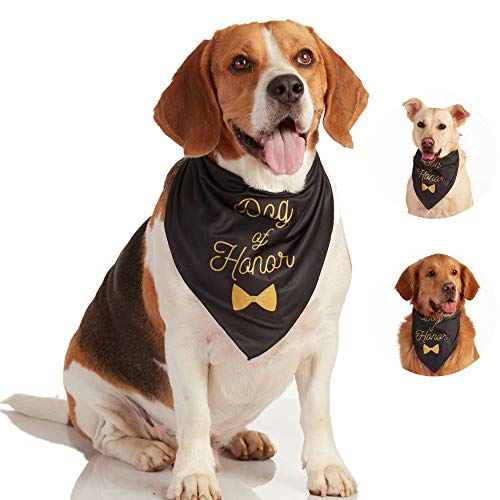 Product Cover Odi Style Engagement Gifts Dog Bandana - Wedding Gift Signs Dog of Honor Black Dog Bandana for Small, Medium, Large Dogs, Bridal Shower Photography Props Pet Dog Accessories Scarf