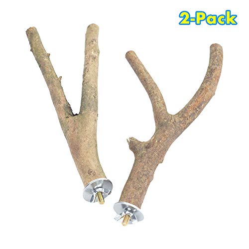 Product Cover GNB PET 2 Pack Bird Perch Parrot Natural Wood Fork Stand Perch (9.84 Inches), Birdcage Stands Platform Pet Bird Toys with Stainless Steel Washers
