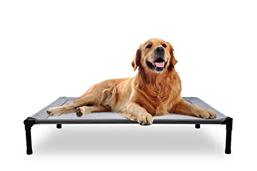 Product Cover Mora Pets Dog Cot Outdoor Dog Bed Raised Dog Bed Elevated Pet Beds