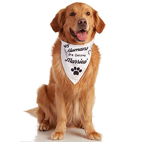 Product Cover Odi Style Engagement Gifts Dog Bandana - Wedding Gift Signs My Humans are Getting Married White Dog Bandana for Small, Medium, Large Dogs, Bridal Shower Photography Props Pet Dog Accessories Scarf