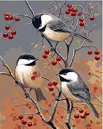 Product Cover SUBERY Paintworks DIY Oil Painting Paint by Number Kits for Adults Kids Beginner - Three Birds on The Branch 16x20 inches (Without Frame)