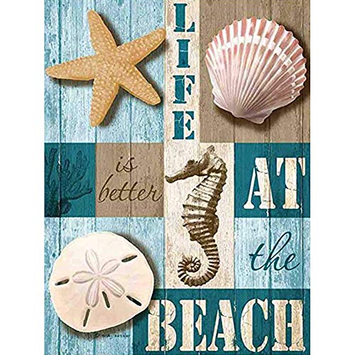 Product Cover 5D Diamond Painting Kits for Adults Beach Shell feilin Full Drill, DIY Cross Stitch Crystal Mosaic Picture Artwork for Home Wall Decor Gift (B, 30x40cm)