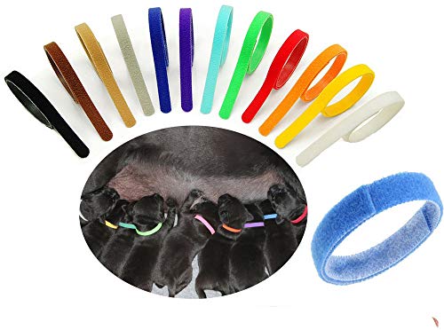 Product Cover Floranea 12 Pcs Puppy Whelping Collars Multicolor Adjustable Double Sided Reusable Comfortable Soft Fabric ID Bands for Small Dogs Pet Cat Newborn Kittens Litter