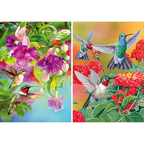 Product Cover Yomiie 2 Pack 5D DIY Diamond Painting Birds Kit, Hummingbird Embroidery Cross Stitch Craft Arts Full Drill Piant with Diamond Friarbird Gift Idea for Women Home Decor 12x16 inch (30x40 cm)