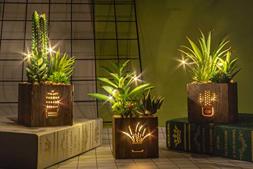 Product Cover BEGONDIS Set of 3 Artificial Succulents with Led Lights in Wooden Box, Artificial Plants Plastic Fake Topiary for Home/Office Decorations, Table Centerpiece