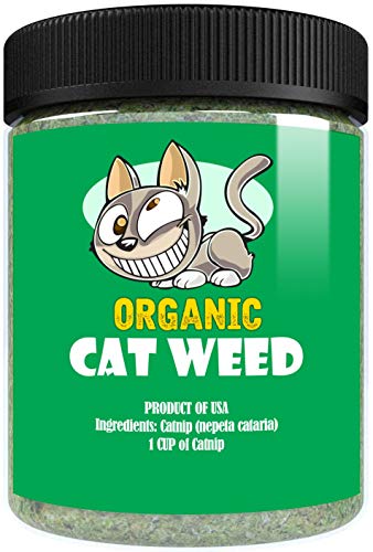 Product Cover Cat Weed Organic Catnip has Maximum Potency Premium Blend Nip That Your Cats to Go Crazy Over (1 Cup)