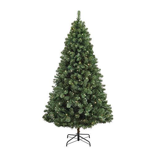 Product Cover NOMA 6.5-Foot Pre-lit Christmas Tree with Lights | Kawartha | 200 Clear Warm White LED Bulbs | 800 Branch Tips