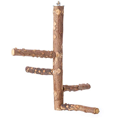 Product Cover KINTOR Bird Perch Nature Wood Stand for 3-4pcs Medium Parrots