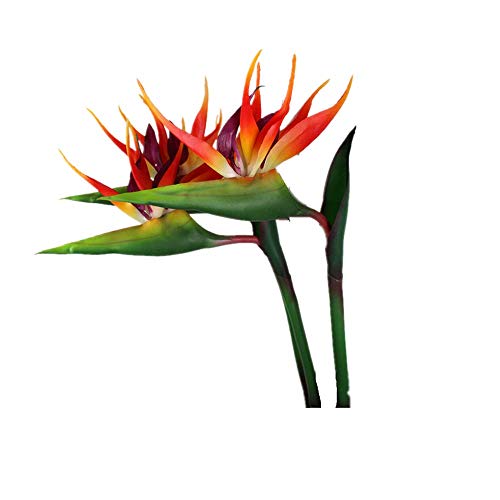 Product Cover DODXIAOBEUL Large Bird of Paradise 32 Inch Permanent Flower,Flower stem 0.5 Inch,Flower Part is Made of Soft Rubber PU，Artificial Flower Plants for Home Office 2 Pcs (Orange red)
