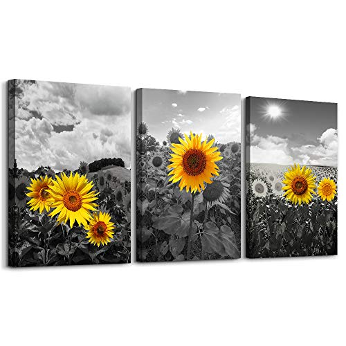 Product Cover Black and White Pastoral Scenery Sunflower Flowers Canvas Wall Art for Living Room Bedroom Decoration Wall Painting,Bathroom Wall Decor Home Decoration Kitchen Posters Artwork，16x12 inch/ 3 Piece Set