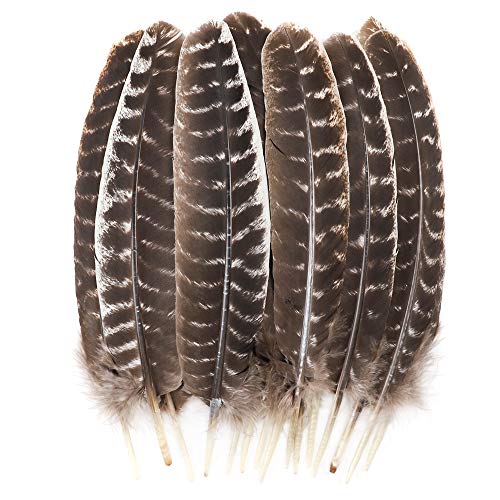 Product Cover Outuxed 15pcs 10-12 inches Natural Turkey Feathers for Crafts DIY Decoration Collection
