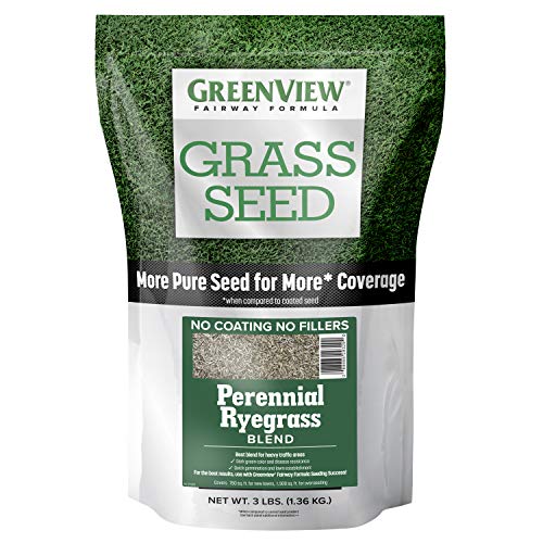 Product Cover GreenView 2829353 Fairway Formula Grass Seed Perennial Ryegrass Blend, 3 lb