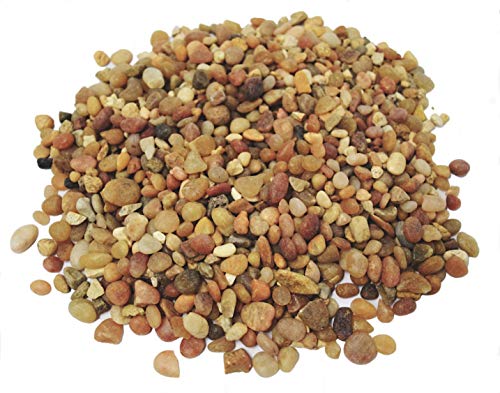Product Cover TerraGreen Creations - 1 lb - Washed Pea Gravel - Succulent Pebbles and Rocks for Plants - Planter and Fairy Garden. Great Fairy Garden Accessories