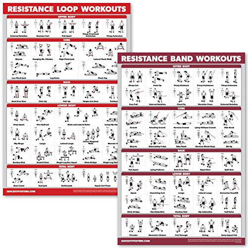 Product Cover QuickFit 2 Pack - Resistance Bands and Resistance Loops Workout Posters - Set of 2 Laminated Charts - Resistance Band Tubes and Loops Exercise Charts (Laminated, 18