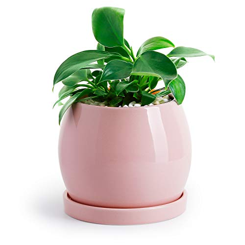Product Cover POTEY Ceramic Planter Flower Plant Pot - 5.1