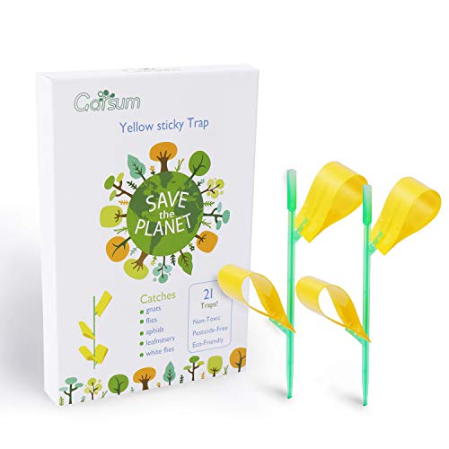 Product Cover Garsum Insect Trap Yellow Houseplant Sticky Stakes Traps Fly Glue Fungus Gnats Trappers,21 Trap 7 Stakes