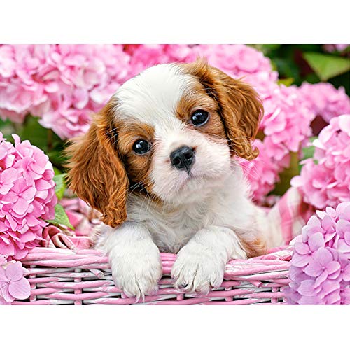 Product Cover DIY 5D Diamond Painting Kits for Adults Full Drill Embroidery Paintings Rhinestone Pasted DIY Painting Cross Stitch Arts Crafts for Home Wall Decor 30x40cm/11.8×15.7Inches（Basket Puppy,Dogs)