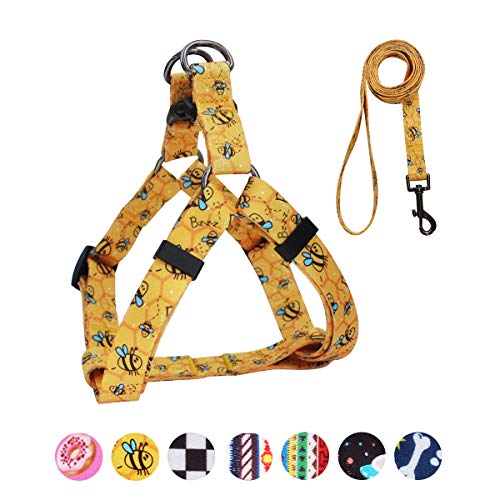 Product Cover QQPETS Dog Harness Leash Set, Adjustable Heavy Duty No Pull Halter Harnesses for Large, Medium, Small Breed Dogs, Back Clip, Anti-Twist, Perfect for Walking (S(14