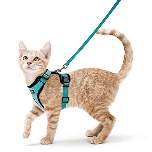 Product Cover rabbitgoo Cat Harness and Leash Set for Walking Escape Proof with 59 Inches Leash - Adjustable Soft Vest Harnesses for Small Medium Cats, Cat Leash Harness with Reflective Strips & 1 Metal Leash Ring