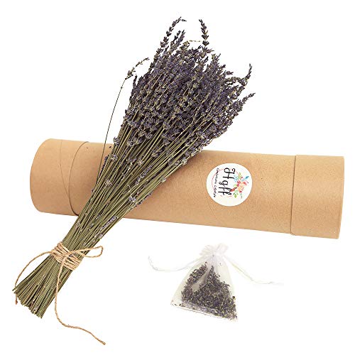 Product Cover HGFF 260 Stems Lavender Dry Flower - Natural Handmade Never Withered Lavender Bundles with Strong Paper Tube Packaging, DIY Home Office Party Wedding Decoration, Garden, Courtyard Decor
