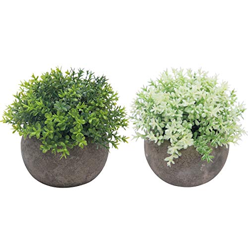 Product Cover The Bloom Times 2 Pcs Fake Plant for Bathroom/Home Office Decor, Small Artificial Faux Greenery Grass Flower Topiary Shrubs for House Decorations (Potted Plants)