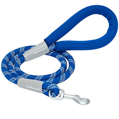 Product Cover Blueberry Pet 2019/2020 New 8 Colors Durable Diagonal Striped Dog Rope Leash in Blue with Comfy Neoprene Handle, 4 ft, Strong Leashes for Dogs