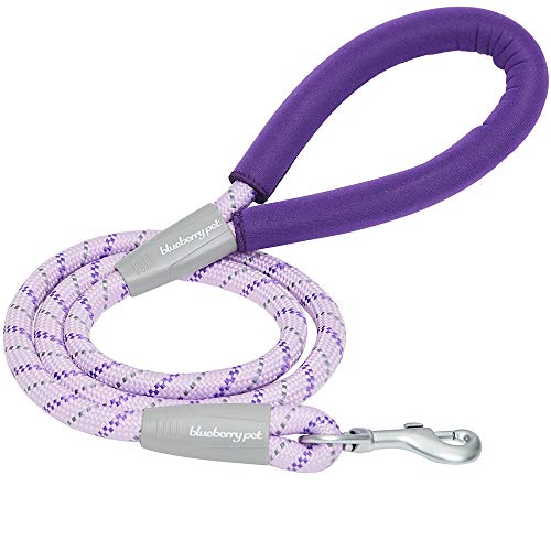 Product Cover Blueberry Pet 2019/2020 New 8 Colors Durable Diagonal Striped Dog Rope Leash in Lavender with Comfy Neoprene Handle, 4 ft, Strong Leashes for Dogs