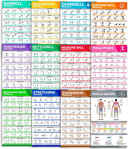 Product Cover [12-PACK] Laminated Workout Poster Set - Perfect Large Size Workout Posters For Home Gym - Exercise Posters Include Dumbbell, Yoga Poses, Resistance Band, Kettlebell, Stretching & More Fitness Charts