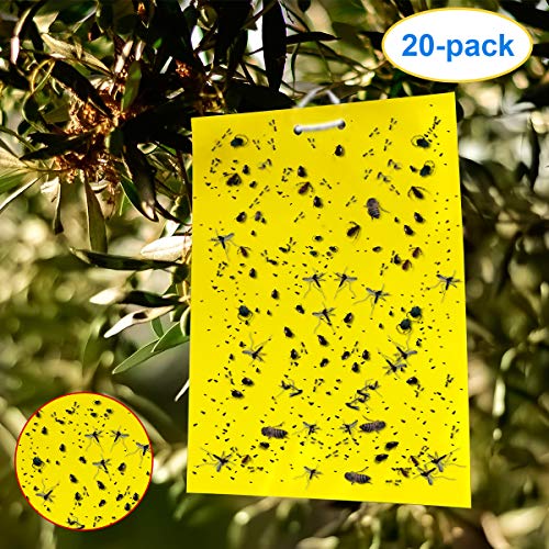 Product Cover ALLRoad Dual-Sided Yellow Sticky for Plant Insect Fungus Gnat Trap Indoor and Outdoor 6X8 inch,include 40 pcs Twist Ties