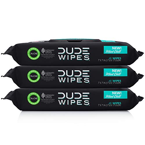 Product Cover Dude Wipes Flushable Wet Wipes Dispenser, Mint Chill, 48 Count (Pack of 3) Scented Wet Wipes with Vitamin-E, Aloe, Eucalyptus & Tea Tree Oils for at-Home Use, Septic and Sewer Safe
