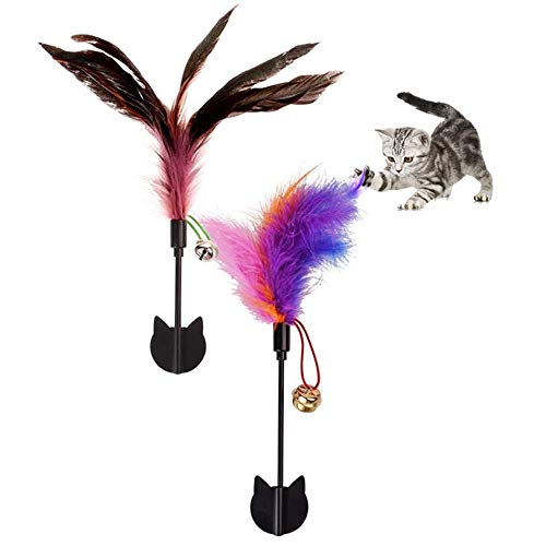 Product Cover ZC GEL Feather Cat Toys，Cat Selfie Stick with Reusable and Removable, Damage Free with All Smartphone, Funny Feather Wand and Bells Attract Cat's Attention to Take Photo or Do Funny Exercise(2 Pack)