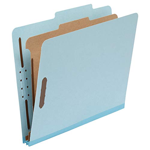 Product Cover AmazonBasics Classification Folder- 100% Recycled, 1 Divider, 2