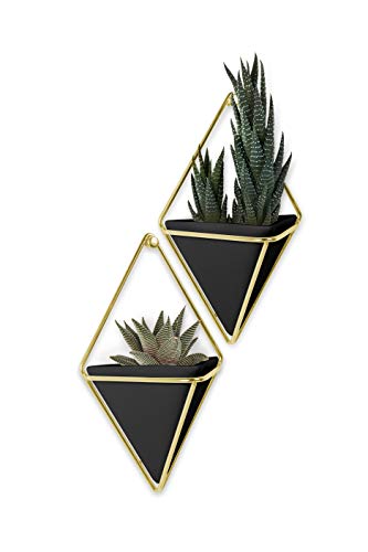 Product Cover Umbra Trigg Hanging Planter Wall Decor Set, for Displaying Small Plants, Pens and Pencils, Makeup Accessories, Black/Brass
