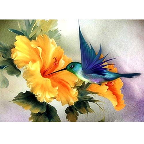 Product Cover ACANDYL Paint by Number Hummingbird DIY Oil Painting Paint by Number Kit for Kids Adults Students Beginner Canvas Painting by Numbers Acrylic Oil Painting Arts Craft Decoration Hummingbird 16x20 Inch