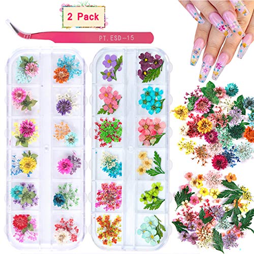 Product Cover 2 Boxes Dried Flowers for Nail Art, KISSBUTY 24 Colors Dry Flowers Mini Real Natural Flowers Nail Art Supplies 3D Applique Nail Decoration Sticker for Tips Manicure Decor (Gypsophila Flowers Leaves)
