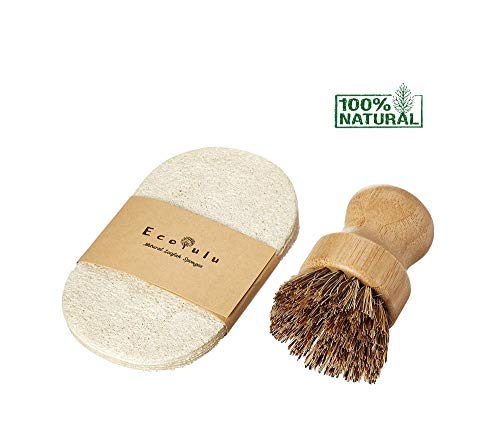 Product Cover ECOLULU Set | 5 Eco Friendly Sponges for Kitchen & 1 Bamboo Dish Brush Natural Bristles | Eco Friendly Products | Biodegradable Compostable Zero Waste