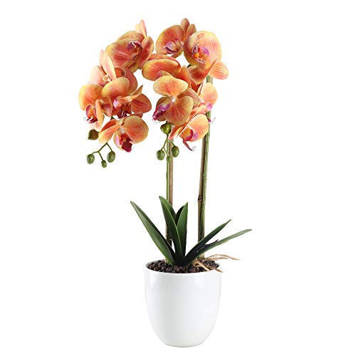 Product Cover HO2NLE 21 inches Artificial Orchid Potted Plant Fake Bonsai Flower Arrangements Real Touch PU Faux Phaleanopsis Branches with White Ceramics Pot Home Office Bedroom Table Centerpieces Decor Orange